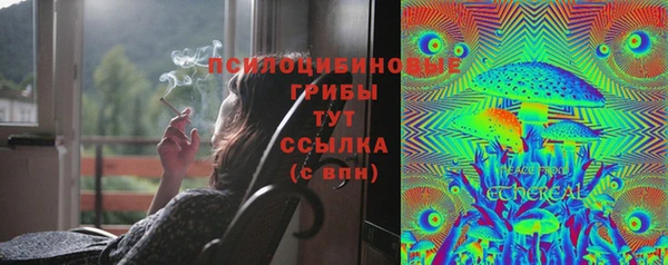 ПСИЛОЦИБИНОВЫЕ ГРИБЫ Армянск