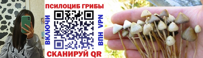 Галлюциногенные грибы мухоморы  купить закладку  Усть-Лабинск 